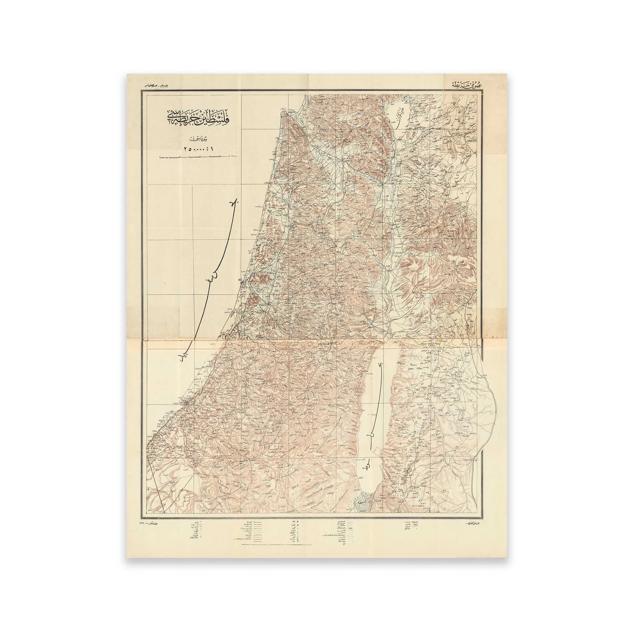 1918 Historic Map of Palestine Print