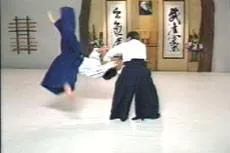 Aikido Principles & Techniques by Mary Heiny (On Demand)