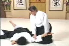 Aikido Principles & Techniques by Mary Heiny (On Demand)