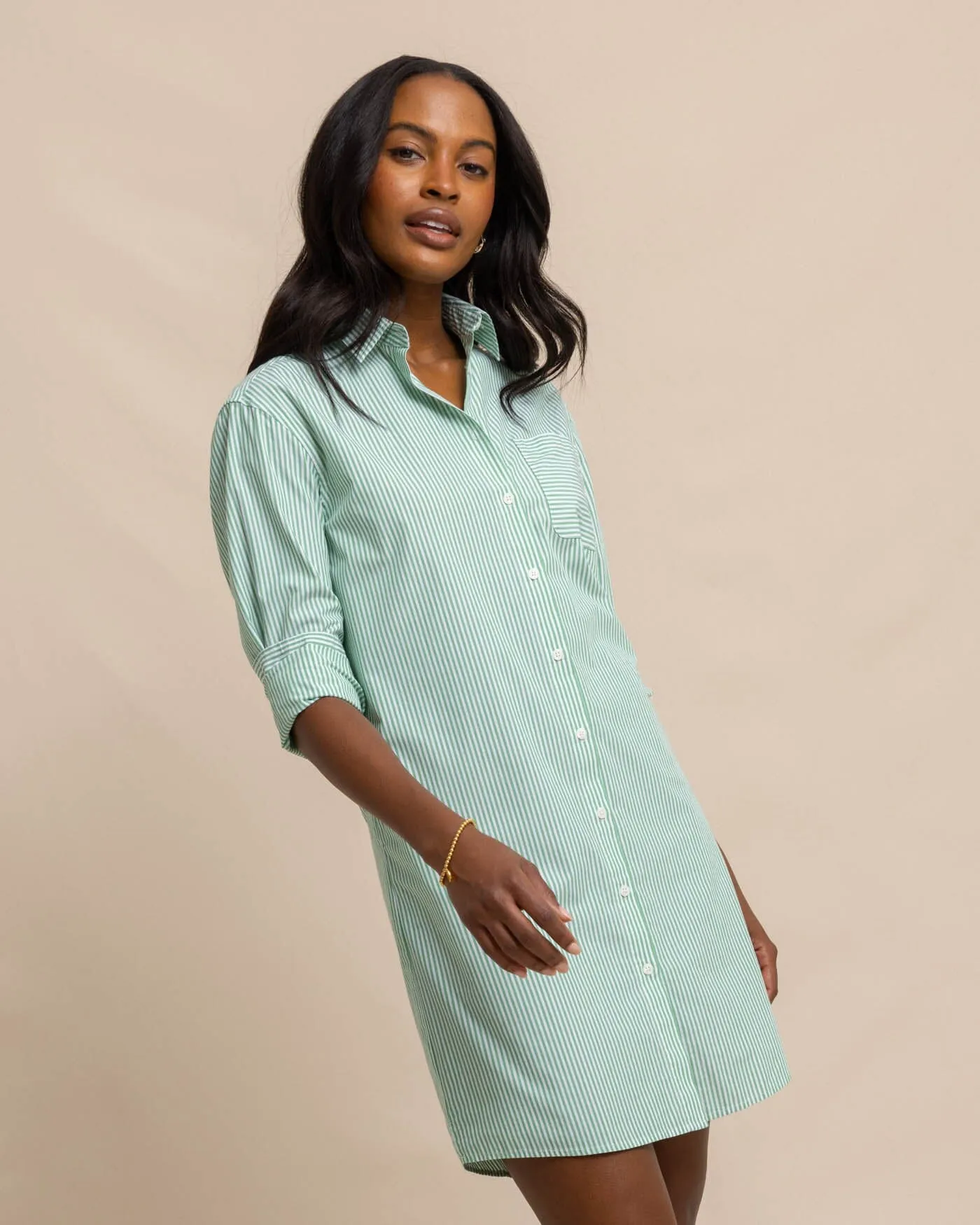 Cam Stripe Poplin Dress - Lawn Green