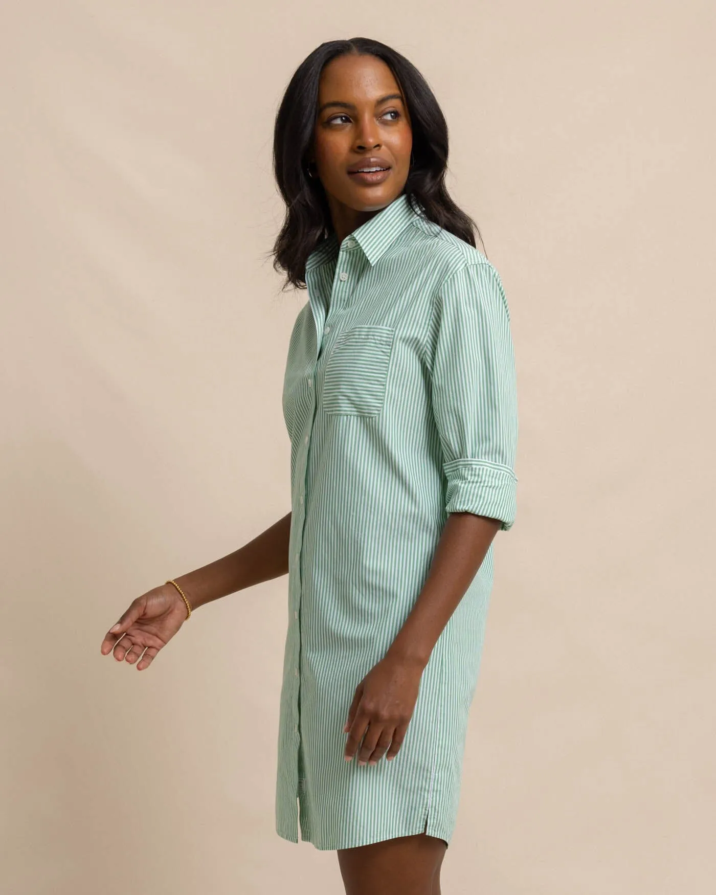 Cam Stripe Poplin Dress - Lawn Green