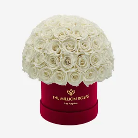 Classic Bordeaux Suede Superdome Box | White Roses