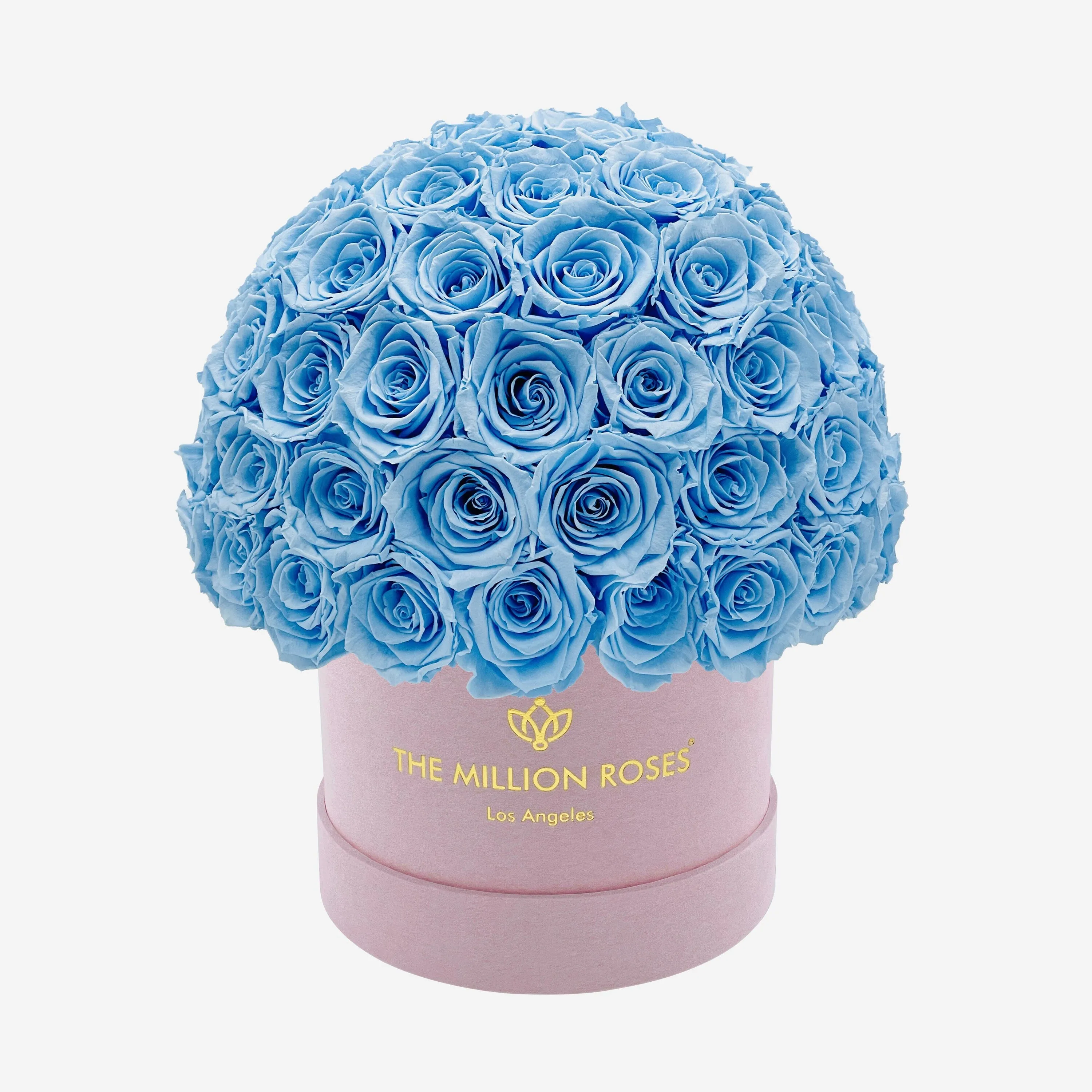 Classic Light Pink Suede Superdome Box | Light Blue Roses