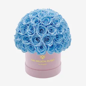 Classic Light Pink Suede Superdome Box | Light Blue Roses