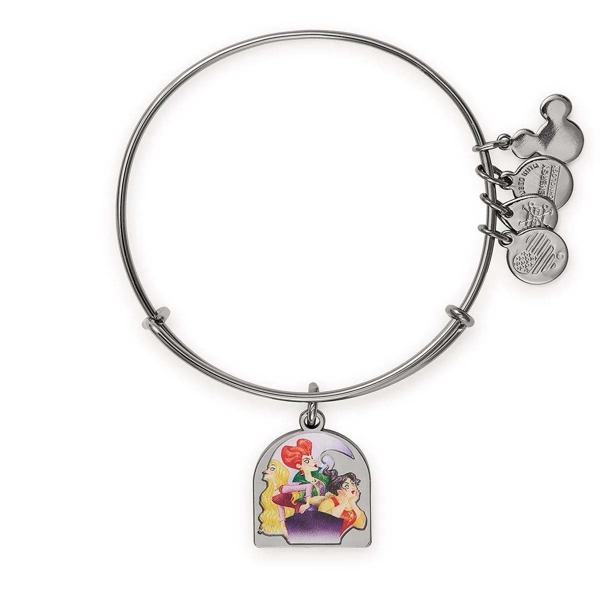 Disney® Hocus Pocus Charm Bangle