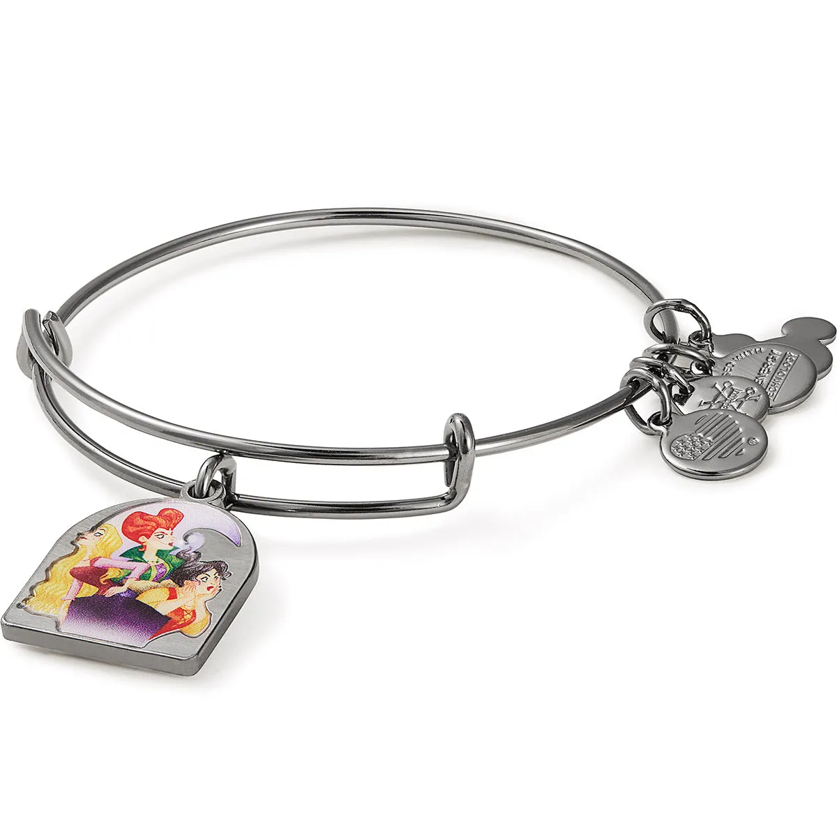 Disney® Hocus Pocus Charm Bangle