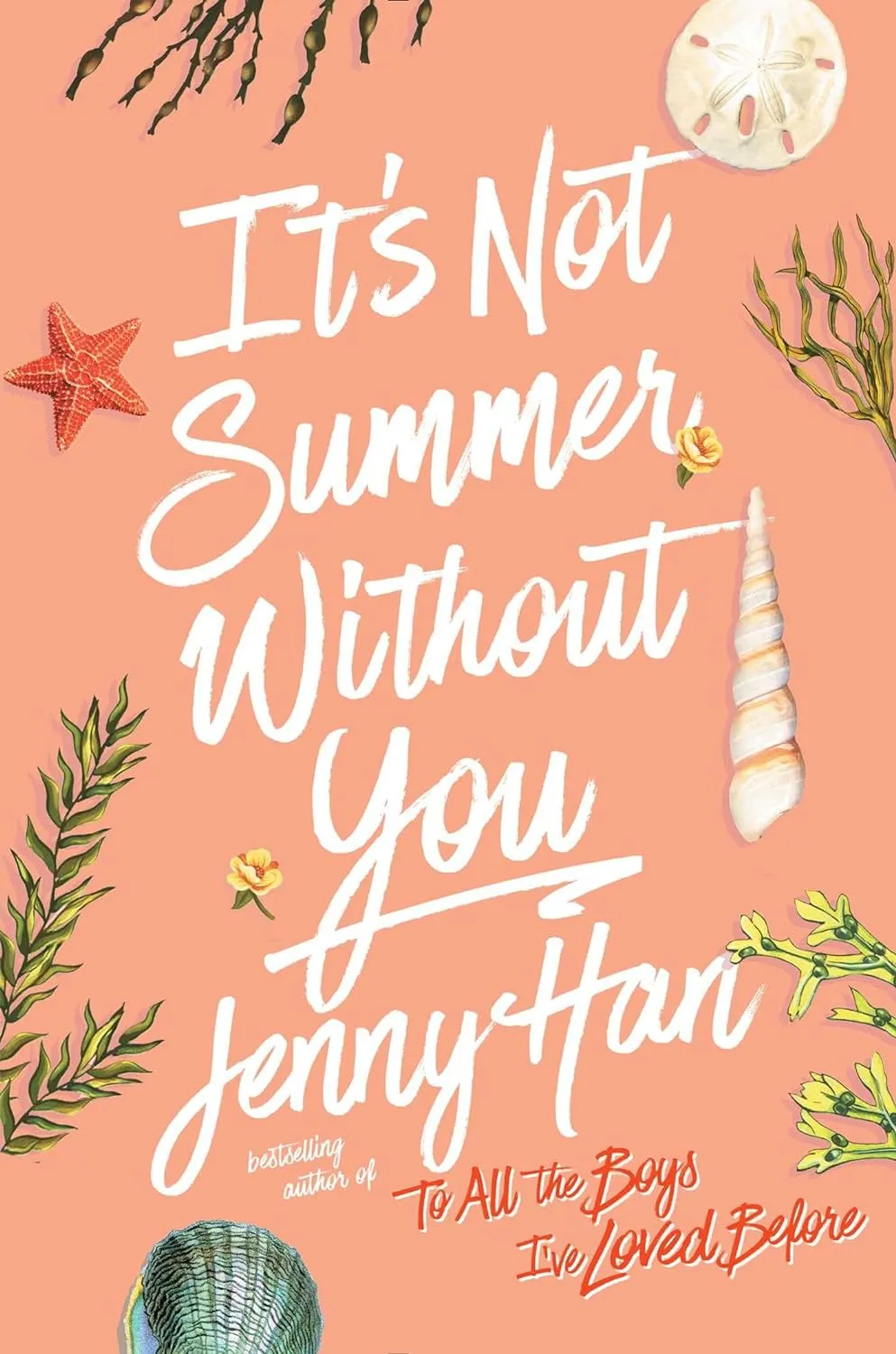 It's Not Summer Without you by Jenny Han