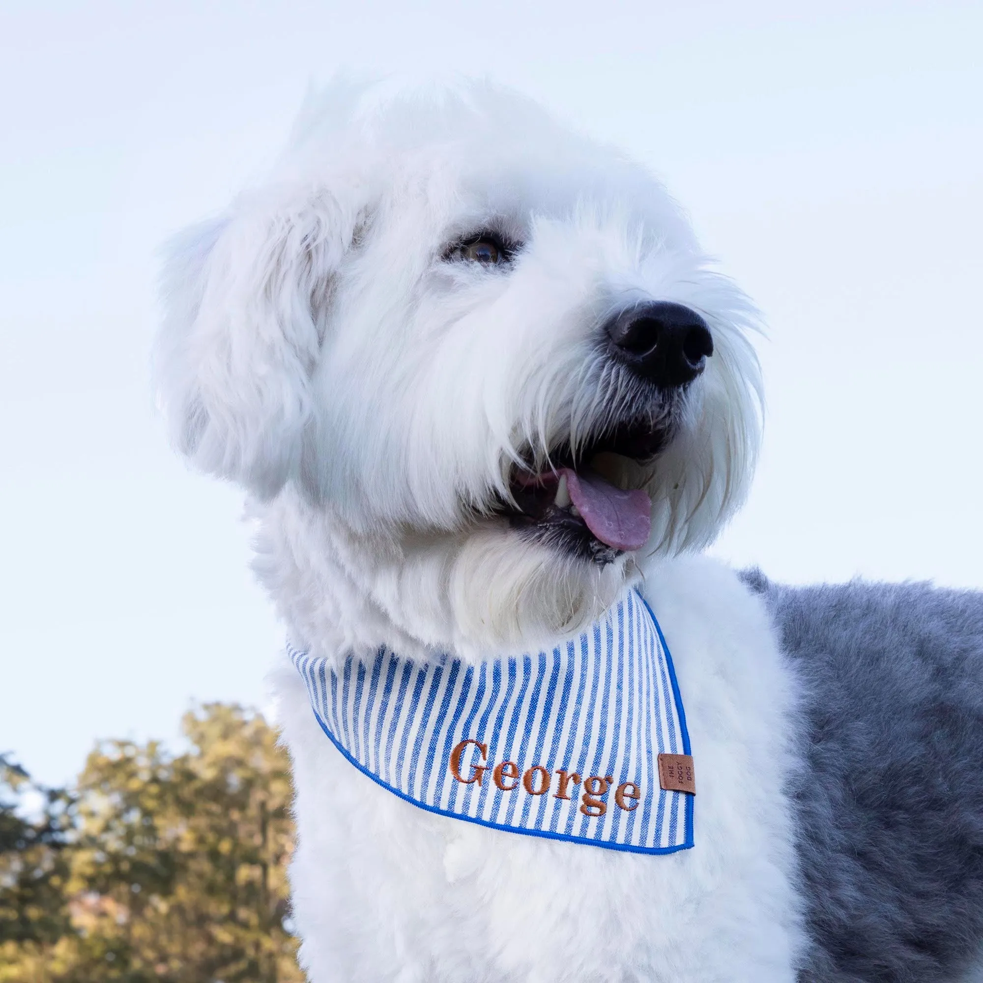 Lake Blue Stripe Dog Bandana