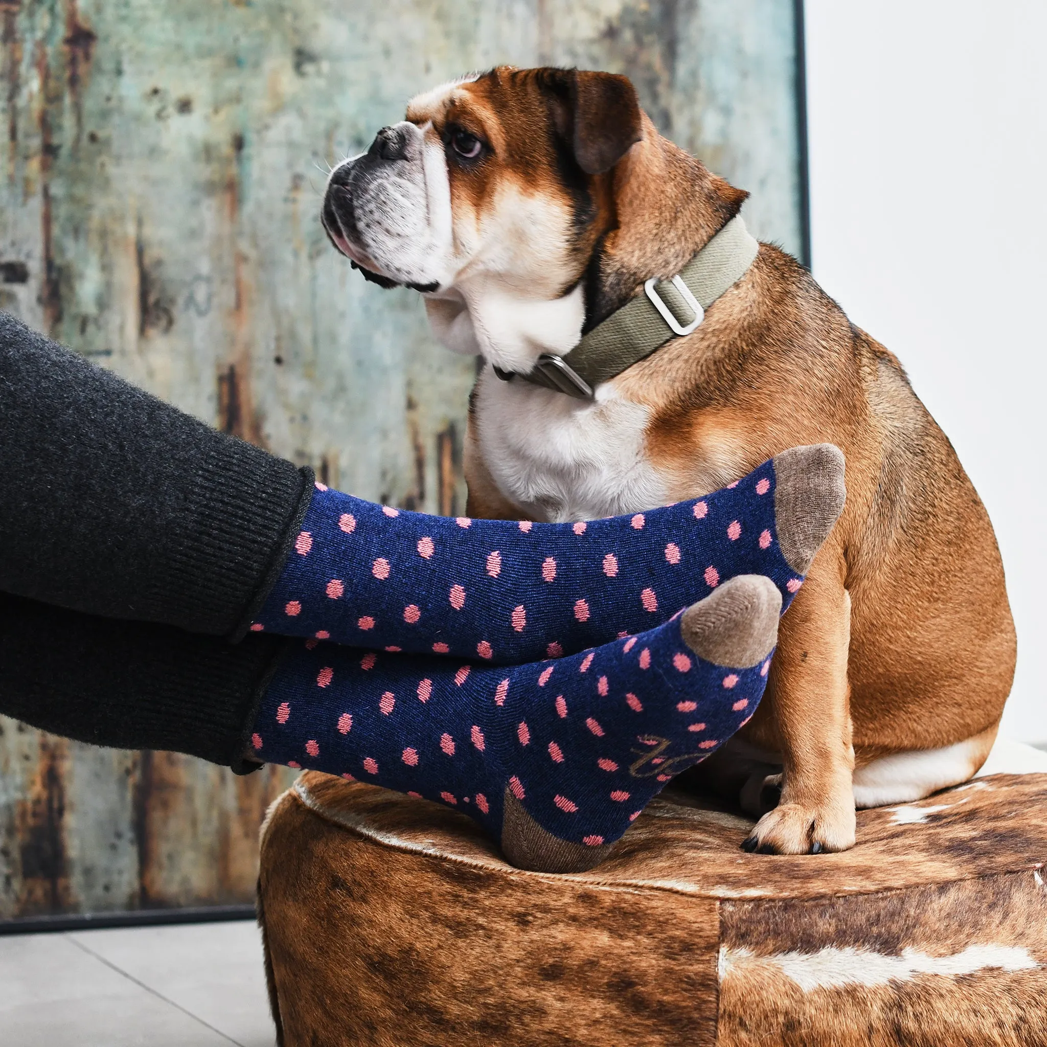 Men's Navy & Pink Small Spot Lambswool Ankle Socks