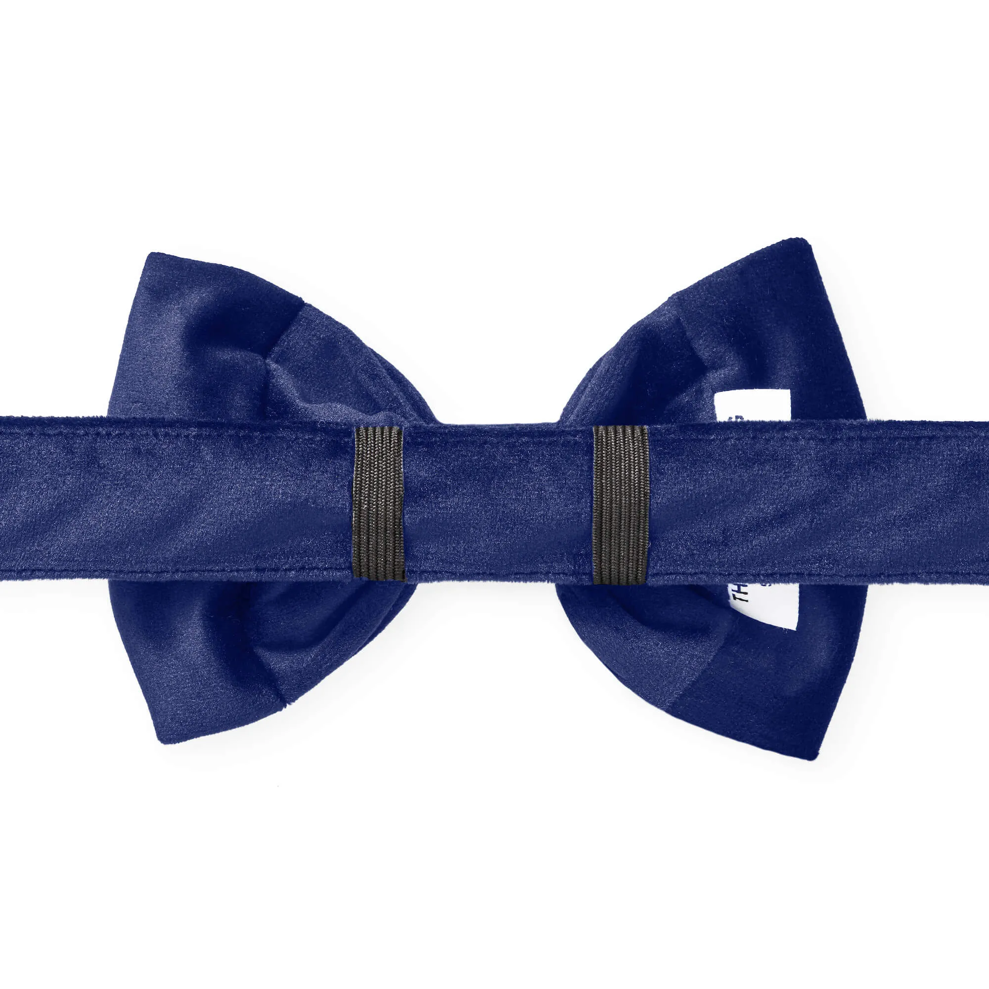 Navy Velvet Dog Bow Tie