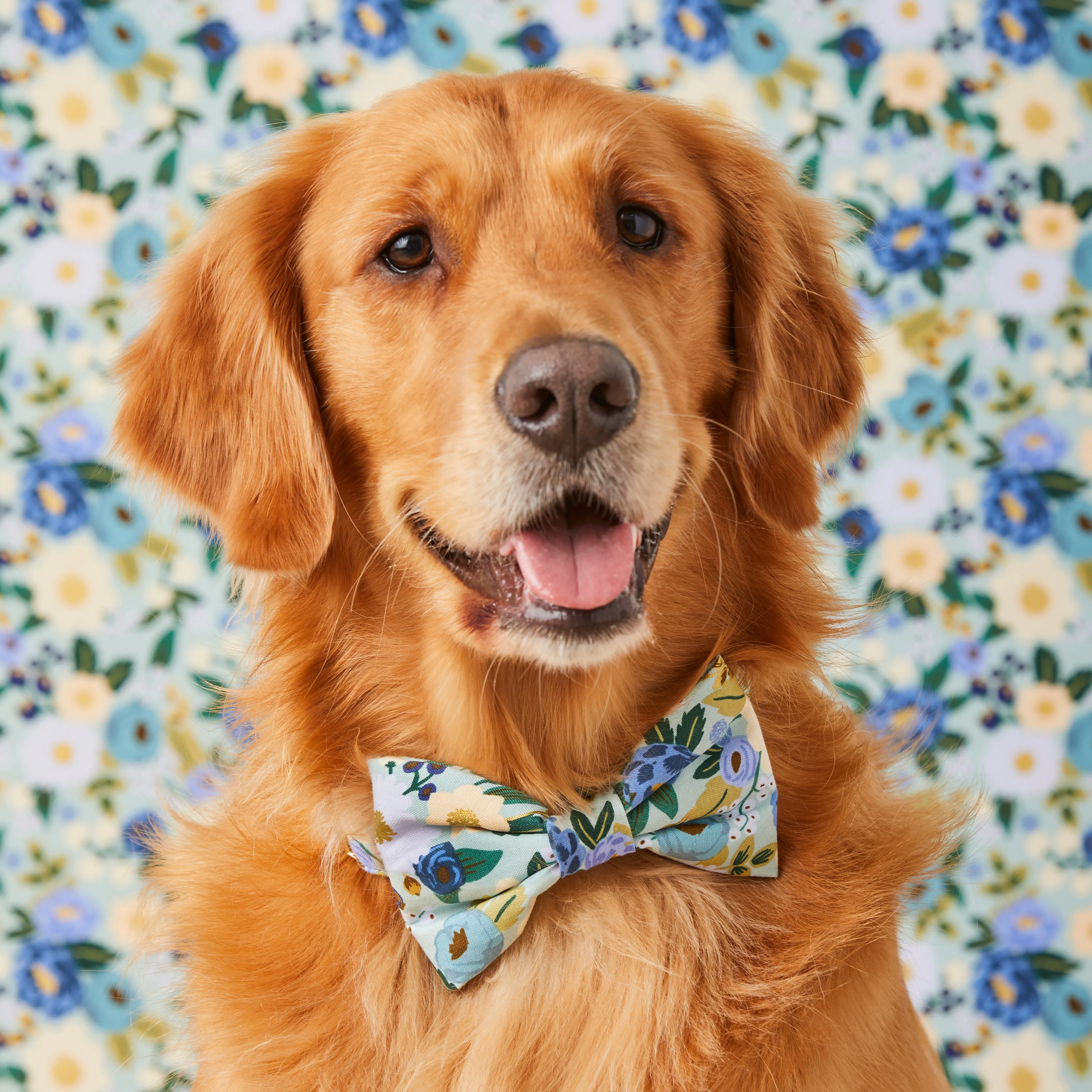 Rifle Paper Co. x TFD Vintage Blossom Dog Bow Tie