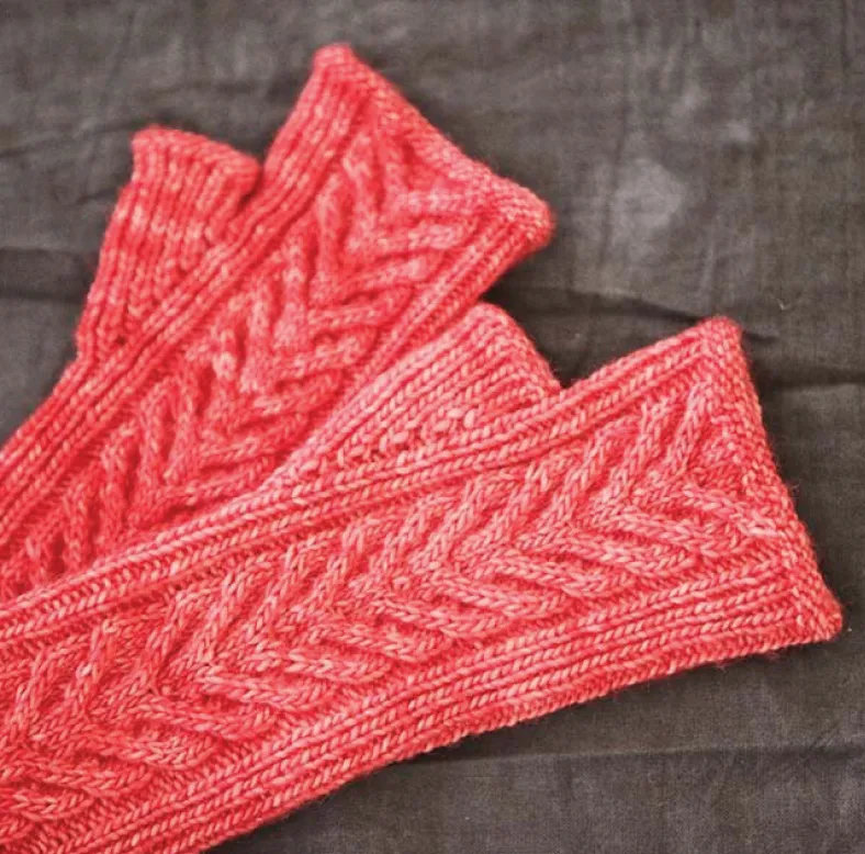 Staghorn Mitts